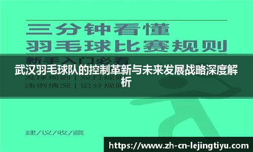 武汉羽毛球队的控制革新与未来发展战略深度解析